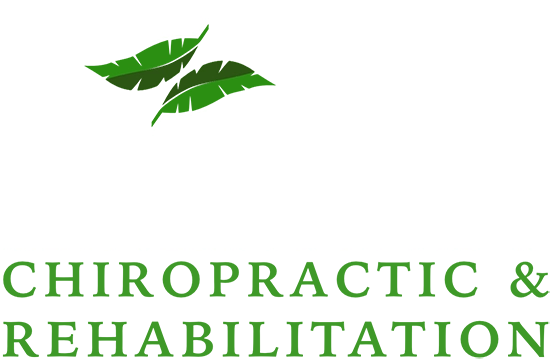 Chiropractic Greenacres FL Palm Beach Chiropractic & Rehabilitation Logo