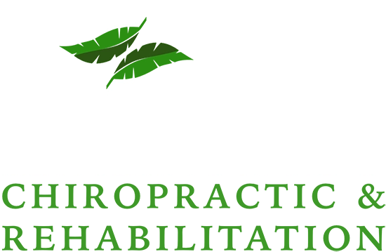 Chiropractic Wellington FL Palm Beach Chiropractic & Rehabilitation Logo